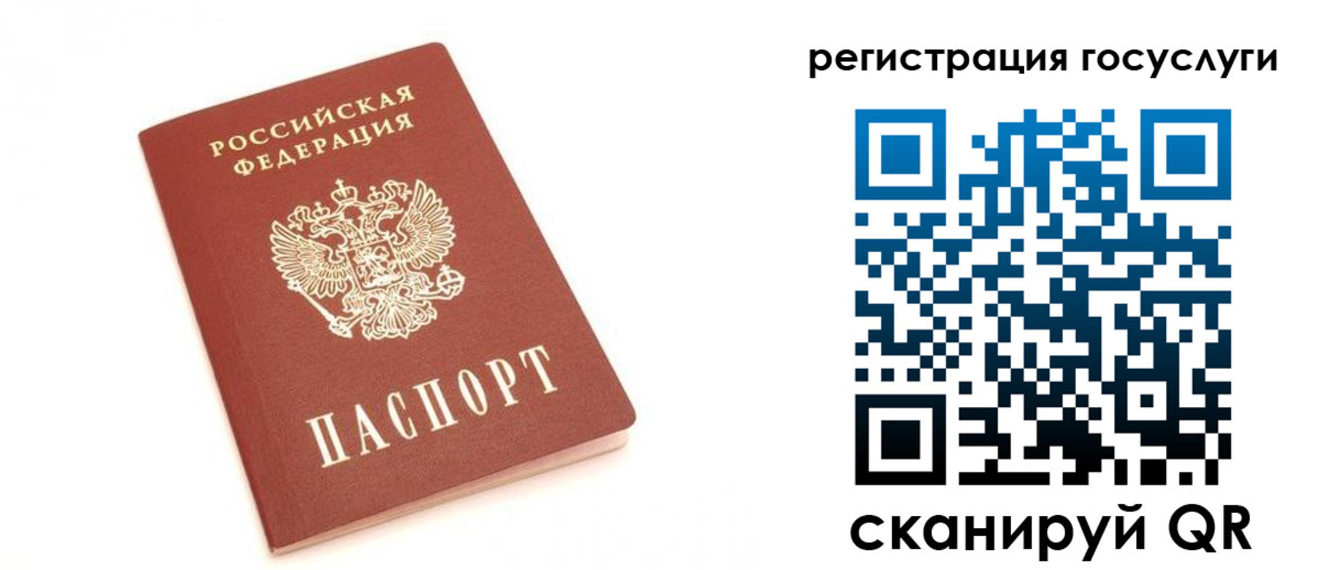 прописка для школы в Курчалом